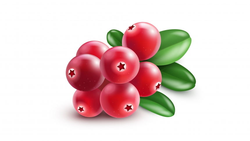 Benefícios do Cranberry para a Saúde